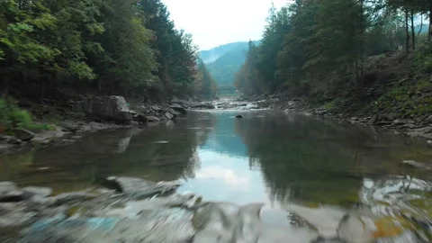 Forest river in mountains Stock Footage 157763223