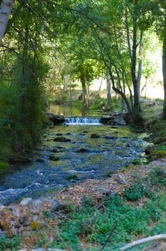 Forest river in the mountains Foto stock
