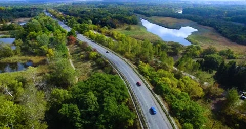 Forest, river. Novomoskovsk Video stock 69095290