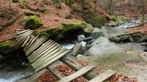 Forest river with old bridge Stock Footage 41066736