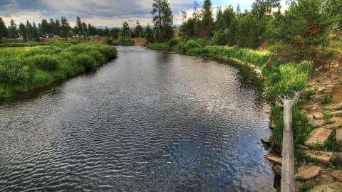 Forest River Stock Photos