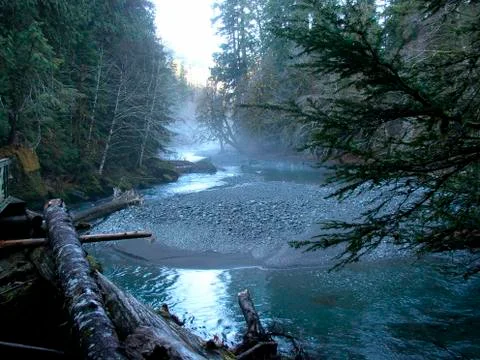 Forest River Stock Photos