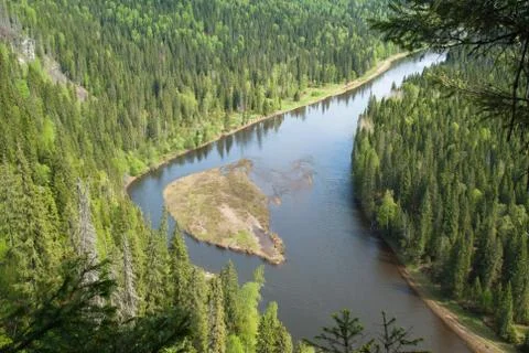 Forest River Foto stock
