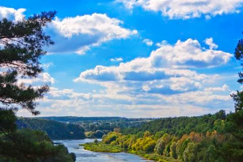 Forest river Stock Photos