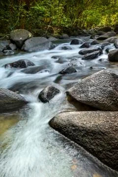 Forest River Stock Photos