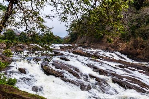 Forest river 写真素材