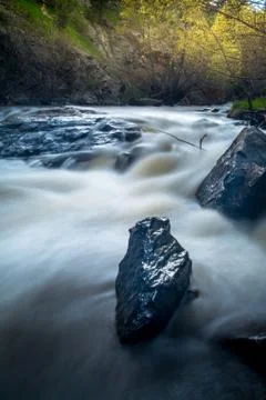 Forest river Stock Photos