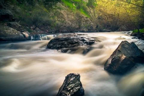 Forest river Foto stock