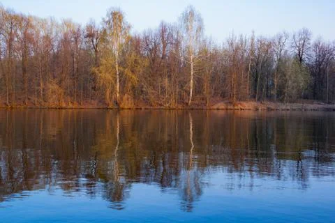 Forest river Foto stock