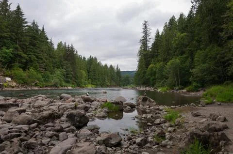 Forest river Stock Photos