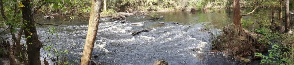 Forest river 写真素材