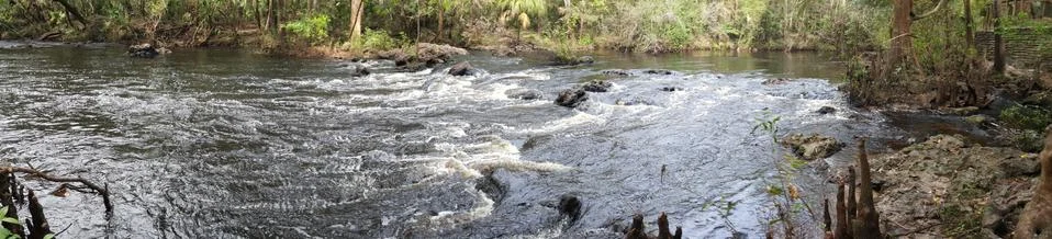 Forest river Stock Photos