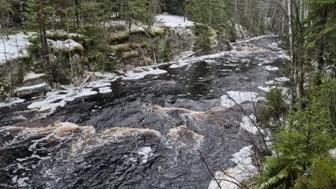 A forest river with rapids and a turbulent current at the beginning of winter. Stock Footage 324874414
