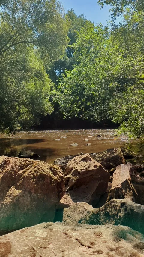 Forest river rapids with gentle waves behind large rocks vertical 4k video. 库存影片 341978614