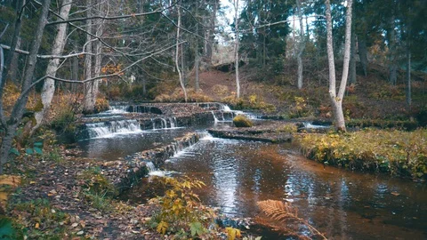 Forest river rapids, part 6 Stock Footage 97083541