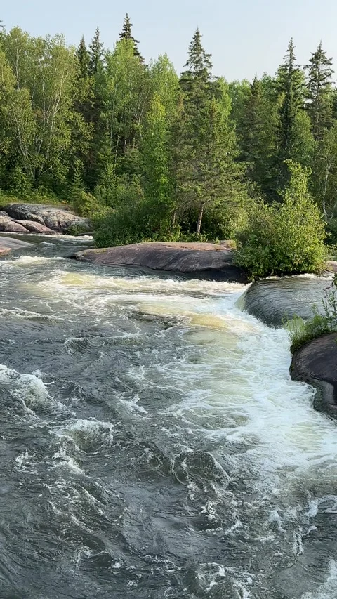 Forest River Rapids in Summer Stock Footage 309891791