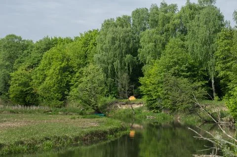 Forest River with Reflection and Hidden Tent Stock Photos