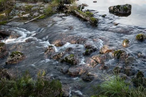 Forest river running Stock Photos