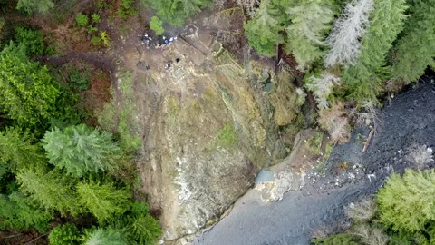 A forest with a river running through it Stock Footage 273743680