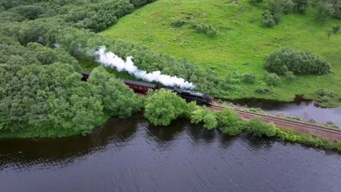 A forest with a river running through it Stock Footage 306560421