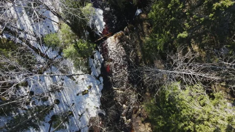 Forest river seen from above. Video stock 152612398