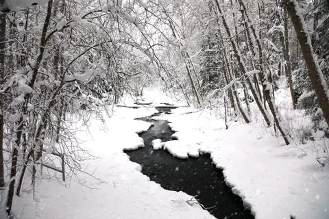 Forest river in a snow covered forest Stock-Fotos