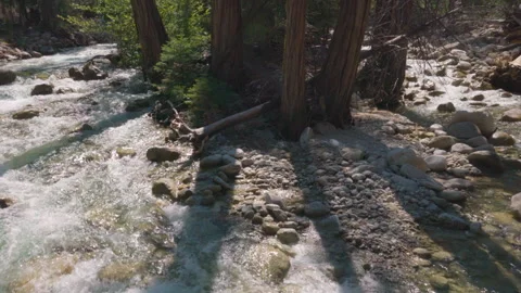 A Forest River is Split Stock Footage 251310730