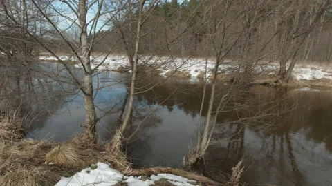 Forest river in the spring Stock Footage 149674858