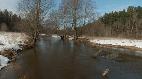 Forest river in the spring Stock Footage 149675455