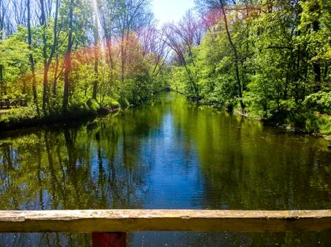 Forest river in spring Stock Photos