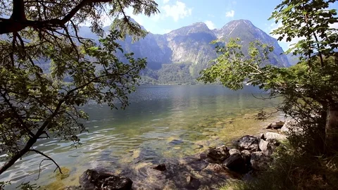 Forest river in spring time Stock Footage 92248308