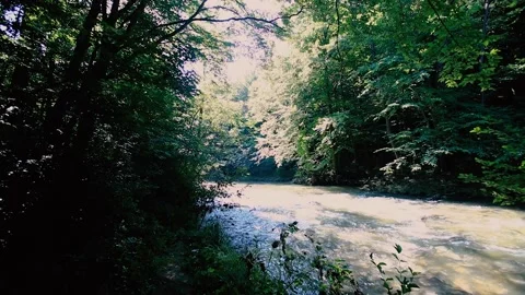 Forest river in spring time Stock Footage 133740095