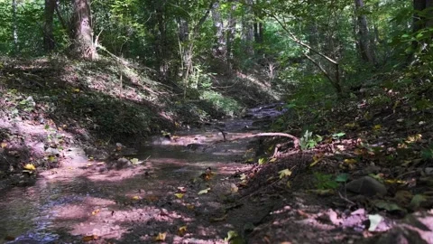 Forest river in spring time Stock Footage 140397841