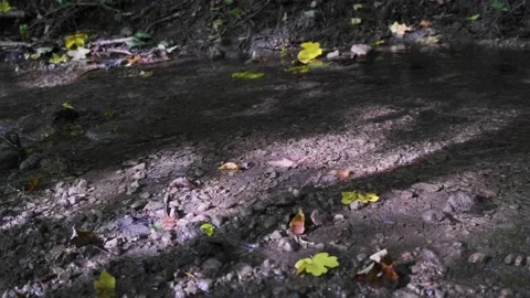 Forest river in spring time Stock-Footage 140397854