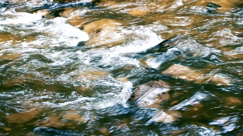 Forest river in spring time Stock Footage 144609281