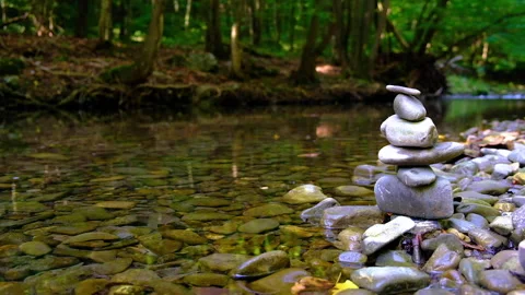 Forest river in spring time Stock Footage 144609729