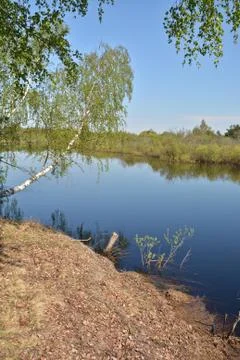 Forest river in the springtime. Stock Photos