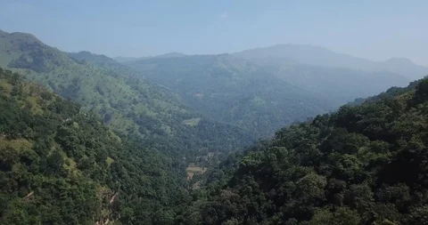 Forest with a river in Sri Lanka from the height of bird flight Stock Footage 100600896