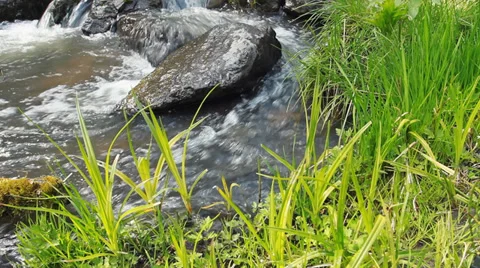 Forest river with stones Stock Footage 39451775