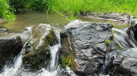 Forest river with stones Stock Footage 40341435