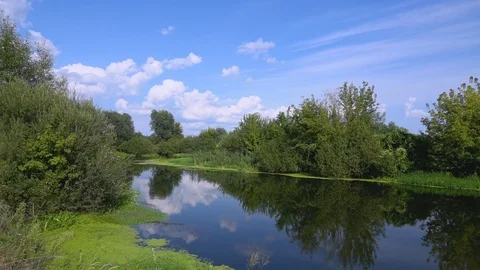 Forest river summer landscape. Spring meadow field Lake. Wildlife Preserve Stock Footage 102683473