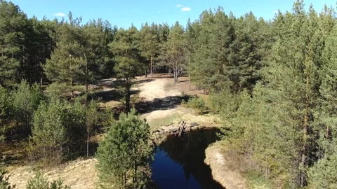 Forest river in the summer taiga from a height of flight Stock Footage 153838968