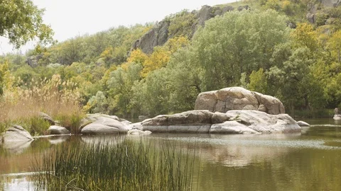 Forest river at sunset. Beautiful summer nature landscape. Stock Footage 110732578