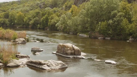 Forest river at sunset. Beautiful summer nature landscape. Stock Footage 110732978