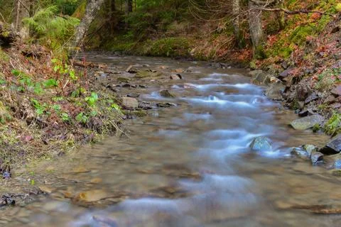 Forest river in Transylvania Stock Photos