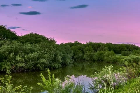 Forest river under the evening sky with purple hues. Stock Photos