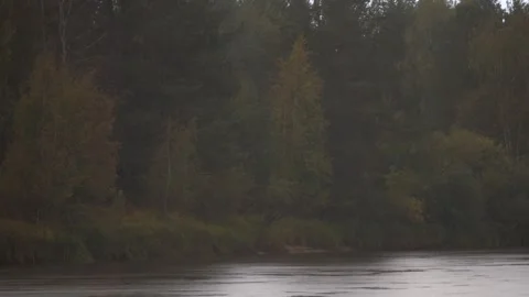 Forest river under the rain. Alkhanay National Park, Siberia Stock Footage 269345579