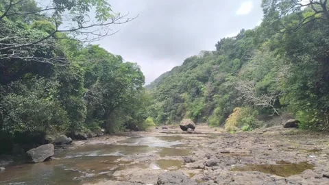 Forest River Valley Canyon Scenic Landscape Stock Footage 341010672