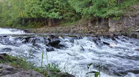 Forest River w Cliffs and nature in the woods 1 Stockbeeldmateriaal 67956205