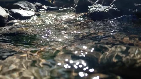 Forest River Water Flow with Natural Rocks Stock Footage 329765105